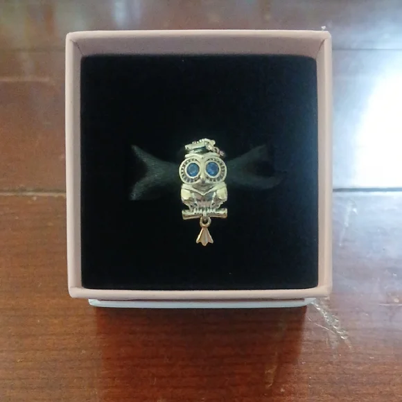 Pandora Silver Owl Charm with Blue Accents - Picture 2 of 5